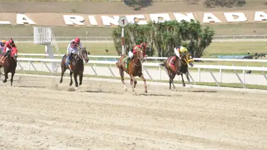 Reaparece ganador de la Copa “Invitacional del Caribe” luego de 189 días sin correr en La Rinconada Reaparece ganador de la Copa “Invitacional del Caribe” luego de 189 días sin correr en La Rinconada
