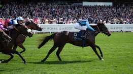 Caballo que pagaba 80-1 gana con aprendiz de 18 años en el Royal Ascot 2024