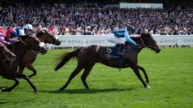 Caballo que pagaba 80-1 gana con aprendiz de 18 años en el Royal Ascot 2024