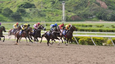 Caballo ganador de múltiples clásicos de grado reaparece en La Rinconada