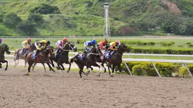 Caballo ganador de múltiples clásicos de grado reaparece en La Rinconada Caballo ganador de múltiples clásicos de grado reaparece en La Rinconada