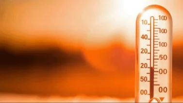 Ola de calor azota a diferentes ciudades de los Estados Unidos 