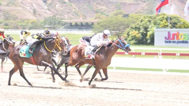 Ejemplar que fue Campeón dosañero reaparece en la Copa “Gaceta Hípica”