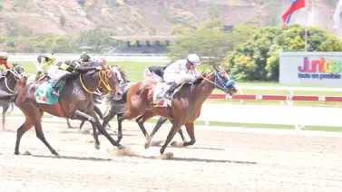 Ejemplar que fue Campeón dosañero reaparece en la Copa “Gaceta Hípica” Ejemplar que fue Campeón dosañero reaparece en la Copa “Gaceta Hípica”