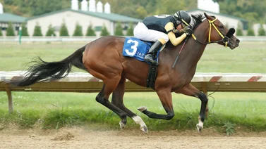 Jockey venezolano es el más destacado del martes en este óvalo de Estados Unidos