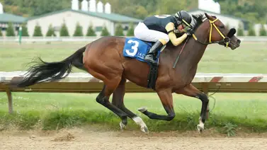 Jockey venezolano es el más destacado del martes en este óvalo de Estados Unidos Jockey venezolano es el más destacado del martes en este óvalo de Estados Unidos