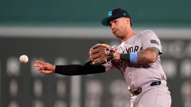 MLB: Así defendió esta estrella de los Yankees a Gleyber Torres luego de un pelotazo (+Video)