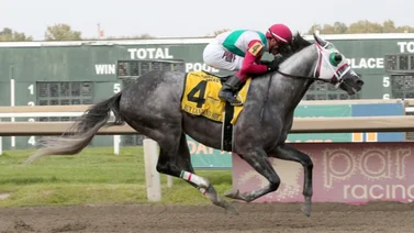 Mychel Sánchez cerca de alcanzar esta cifra de victorias en este hipódromo