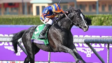 Aiden O’Brien alcanza histórica cifra de victorias en Graded Stakes 1