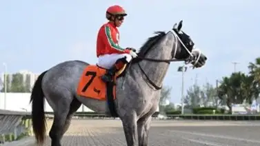 Emisael Jaramillo y José Francisco D’Angelo llegan segundo en el Royal Ascot 2024 Emisael Jaramillo y José Francisco D’Angelo llegan segundo en el Royal Ascot 2024