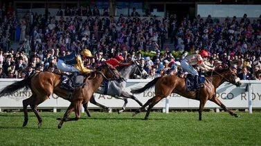 Conoce el monto por repartir en el stakes donde Jaramillo arribó segundo en Royal Ascot