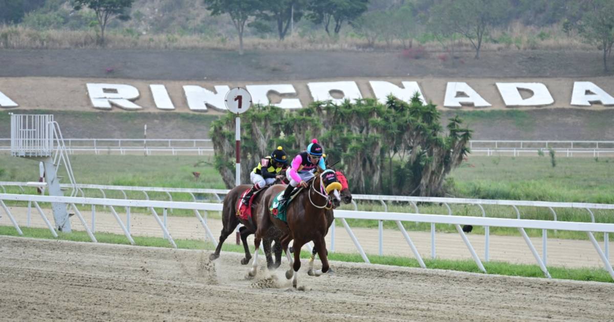 Mira como ajustó la línea de la Gaceta Hípica para la R24 de La Rinconada
