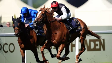 Hijo de Galileo gana por segunda vez la Golden Cup (G1) en la Royal Ascot 2024