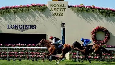 Mira la increíble cantidad de hijos ganadores G1 que tiene el mejor semental del mundo Mira la increíble cantidad de hijos ganadores G1 que tiene el mejor semental del mundo