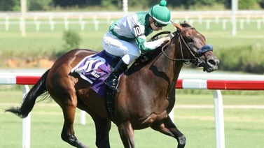 Casi 6 Millones de Dólares en 27 stakes repartirá este hipódromo de Estados Unidos