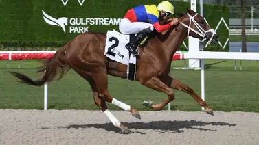 Potra de propietarios y criadores venezolanos mantiene invicto en 2024 en Estados Unidos Potra de propietarios y criadores venezolanos mantiene invicto en 2024 en Estados Unidos