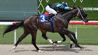 Jockey puertorriqueño le da la primera victoria a José Francisco D’Angelo después del Royal Ascot