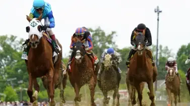 Suspendido por dos años y multado por $35.000 este profesional en Estados Unidos Suspendido por dos años y multado por $35.000 este profesional en Estados Unidos