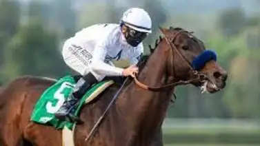 Jockey puertorriqueño gana por primera vez cuatro carreras en un día en Estados Unidos Jockey puertorriqueño gana por primera vez cuatro carreras en un día en Estados Unidos