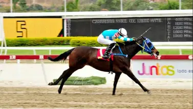 Conoce a los ejemplares de la sexta válida de este domingo en la Rinconada Conoce a los ejemplares de la sexta válida de este domingo en la Rinconada