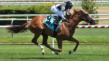 Jockey de Puerto Rico inicia la semana encendido Jockey de Puerto Rico inicia la semana encendido