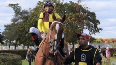Jockey boricua impresionante al ganar 9 carreras en 3 reuniones