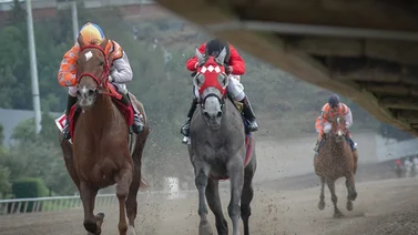 Hija de campeona del Caribe debuta con triunfo en este hipódromo de México