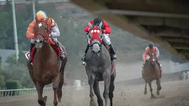 Hija de campeona del Caribe debuta con triunfo en este hipódromo de México Hija de campeona del Caribe debuta con triunfo en este hipódromo de México