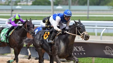 Cipriano Gil sorprende con gran dividendo este sábado en Gulfstream Park