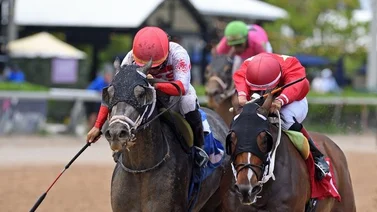 Meridiano hípico acierta la sorpresa y el Best Bet del sábado en Gulfstream Park