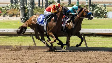 Retiraron ejemplares de este entrenador por presunto uso de sustancia ilegal en Estados Unidos Retiraron ejemplares de este entrenador por presunto uso de sustancia ilegal en Estados Unidos