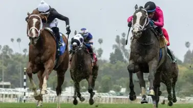 Corte Suprema rechaza apelación contra medidas antidoping de HISA en Estados Unidos Corte Suprema rechaza apelación contra medidas antidoping de HISA en Estados Unidos