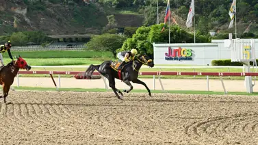 Seis potras dicen presente en el LXVI Clásico Prensa Hípica Nacional Seis potras dicen presente en el LXVI Clásico Prensa Hípica Nacional