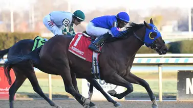 Junior Alvarado con el mejor dividendo del domingo en Belmont The Big A Junior Alvarado con el mejor dividendo del domingo en Belmont The Big A