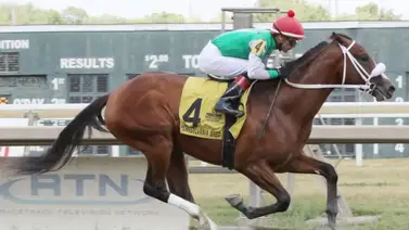 Mychel Sánchez gana dos y se acerca a otra cifra grande en Estados Unidos Mychel Sánchez gana dos y se acerca a otra cifra grande en Estados Unidos