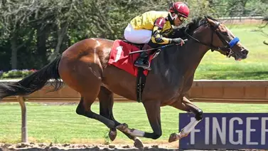 Jockey puertorriqueño triplica y llega a cifra redonda de victorias en Estados Unidos Jockey puertorriqueño triplica y llega a cifra redonda de victorias en Estados Unidos