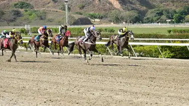 Reaparece en La Rinconada nieto de Water Poet luego de 253 días sin correr en pruebas públicas Reaparece en La Rinconada nieto de Water Poet luego de 253 días sin correr en pruebas públicas