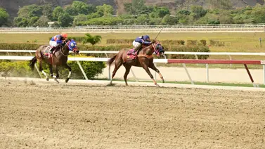 Esta semana hace su debut hijo de una ganadora del Caribe Esta semana hace su debut hijo de una ganadora del Caribe
