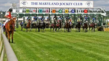 José Gregorio Torrealba llega a esta cantidad de victorias en Estados Unidos José Gregorio Torrealba llega a esta cantidad de victorias en Estados Unidos