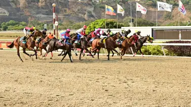 Reaparece en La Rinconada nieta cuyo semental su salto fue de 100.000$ Reaparece en La Rinconada nieta cuyo semental su salto fue de 100.000$