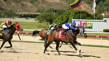 Regresa hijo de ganador clásico este domingo en La Rinconada 