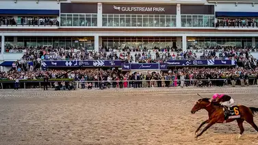 Venezolano debutará como jockey este sábado en Gulfstream Park Venezolano debutará como jockey este sábado en Gulfstream Park