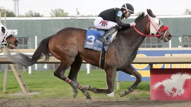 Jockey de Puerto Rico se coloca en el segundo en la estadística de este hipódromo