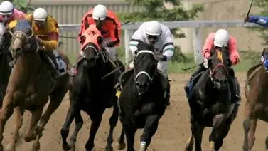 Suspendido indefinidamente entrenador 5 veces campeón en este hipódromo del norte Suspendido indefinidamente entrenador 5 veces campeón en este hipódromo del norte