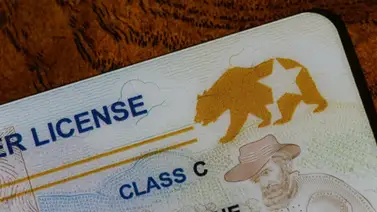 Tarjeta de identificación Real ID: Qué es, requisitos para obtenerla y fecha límite Tarjeta de identificación Real ID: Qué es, requisitos para obtenerla y fecha límite