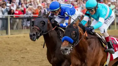 Luminaria boricua montará en el Hipódromo de Curragh este viernes Luminaria boricua montará en el Hipódromo de Curragh este viernes