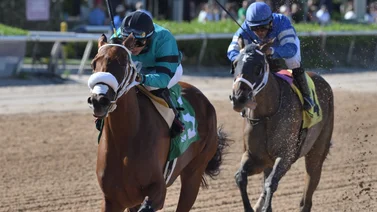 Aquí el Best Bet y los Picks para Gulfstream Park 27-06-2024