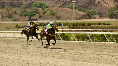 Mira el ajuste de esta yegua que puede sorprender en el Clásico Prensa Hípica Nacional Mira el ajuste de esta yegua que puede sorprender en el Clásico Prensa Hípica Nacional