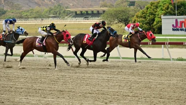 Caballo que no es favorito ajusta bien y pudiera ser la sorpresa de la tarde en La Rinconada