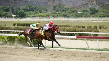 Como ajusto este ejemplar puede ser el “gran tajo” del 5y6 en La Rinconada Como ajusto este ejemplar puede ser el “gran tajo” del 5y6 en La Rinconada
